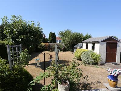 Picture 9